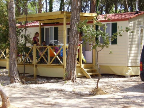 Отель Mobile Homes Camping Biograd  Биоград На Мору